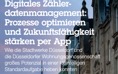 Case Study: Aareal Meter Zählerdatenmanagement